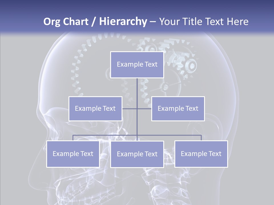 Reflect Bone Knowledge PowerPoint Template