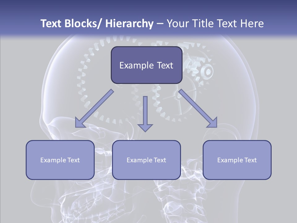 Reflect Bone Knowledge PowerPoint Template