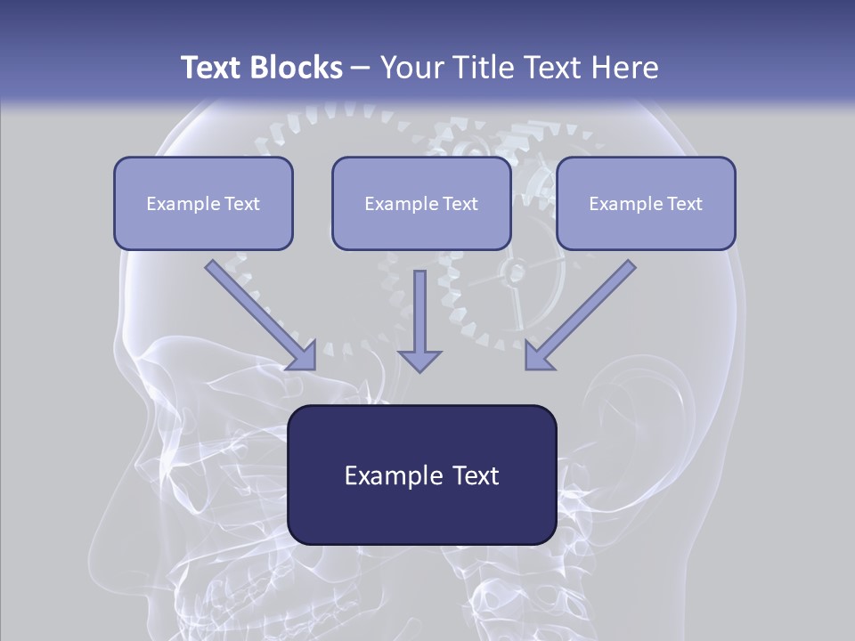 Reflect Bone Knowledge PowerPoint Template