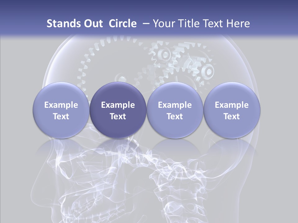 Reflect Bone Knowledge PowerPoint Template