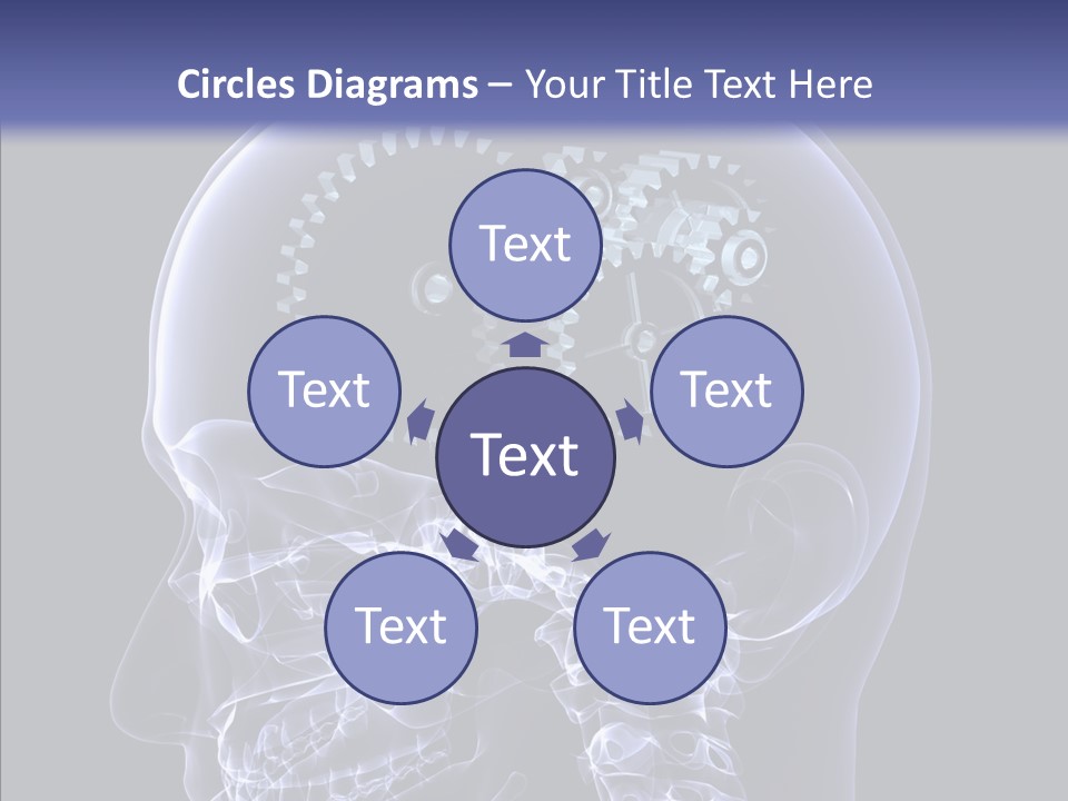 Reflect Bone Knowledge PowerPoint Template