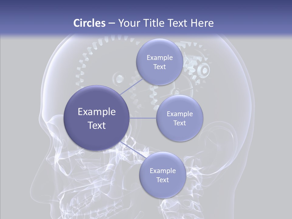 Reflect Bone Knowledge PowerPoint Template