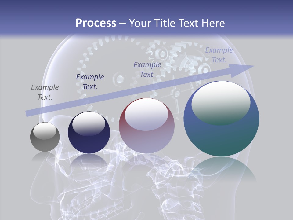 Reflect Bone Knowledge PowerPoint Template