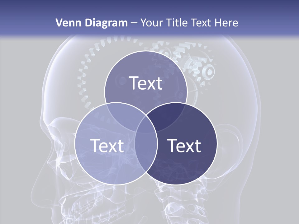 Reflect Bone Knowledge PowerPoint Template