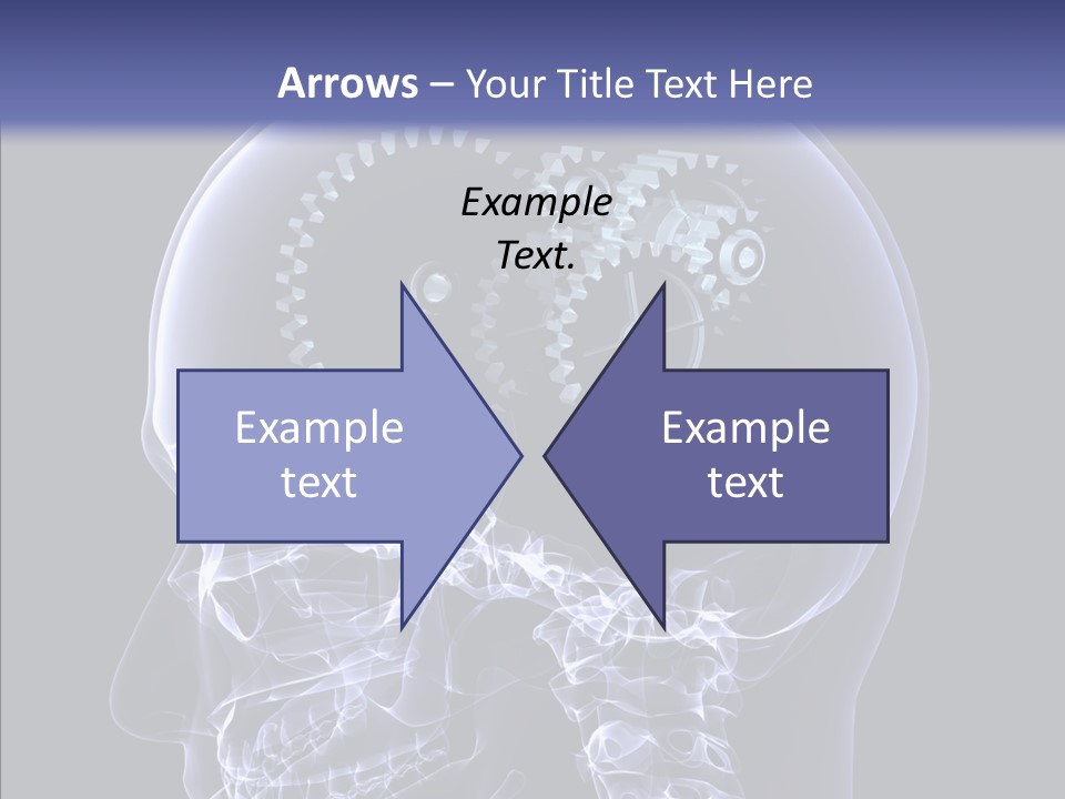 Reflect Bone Knowledge PowerPoint Template