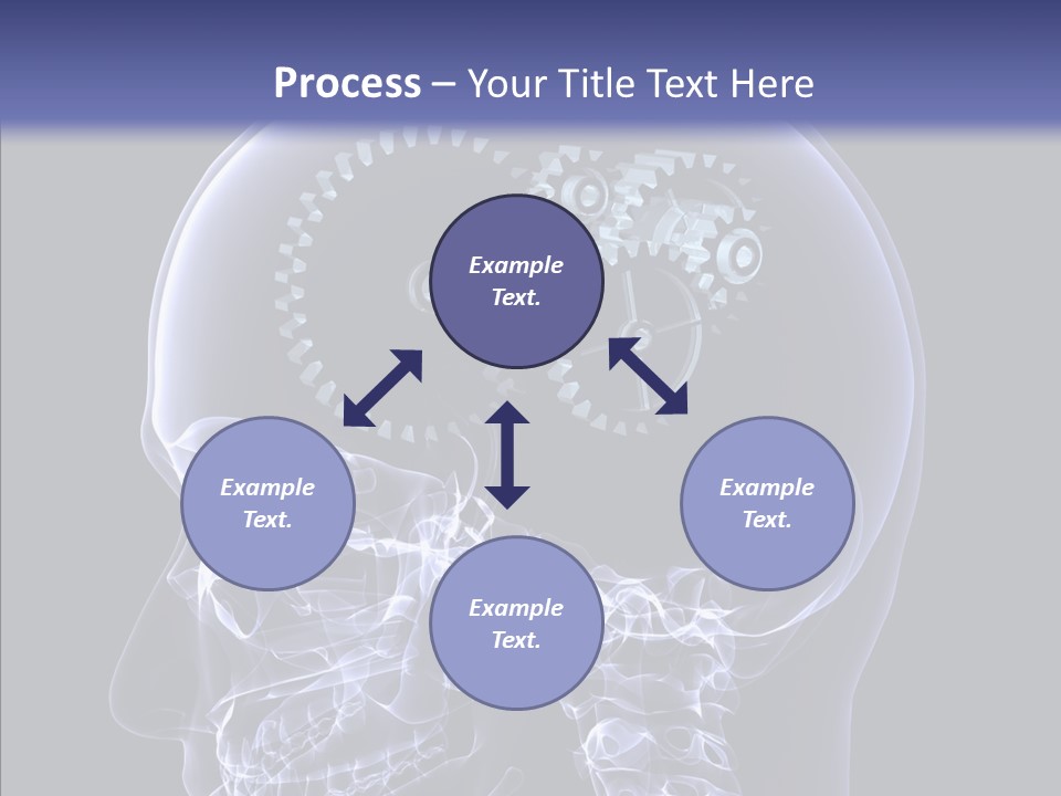 Reflect Bone Knowledge PowerPoint Template