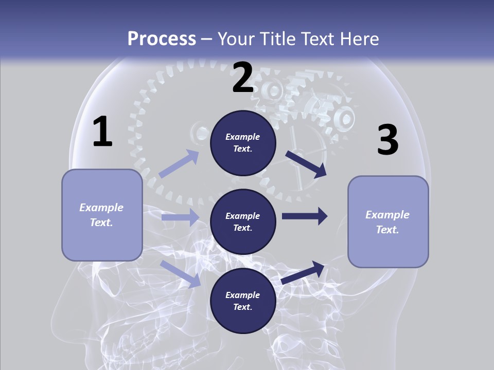 Reflect Bone Knowledge PowerPoint Template