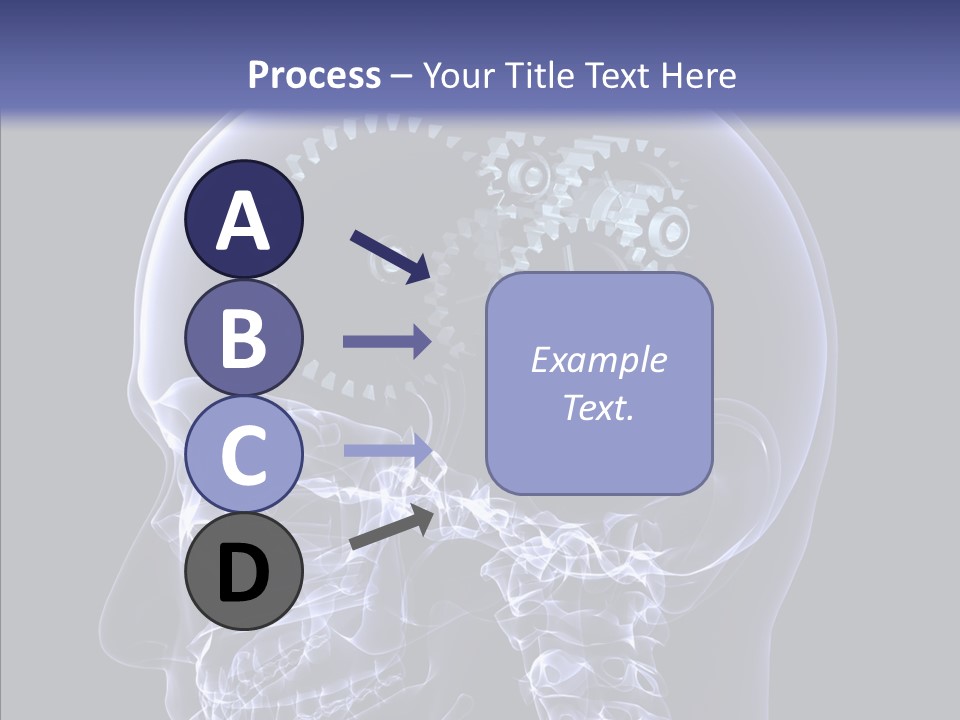 Reflect Bone Knowledge PowerPoint Template