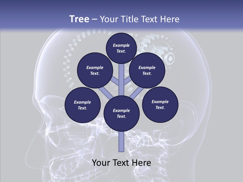 Reflect Bone Knowledge PowerPoint Template