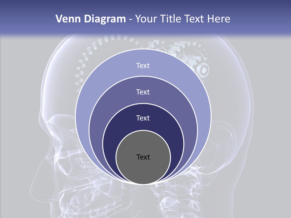 Reflect Bone Knowledge PowerPoint Template
