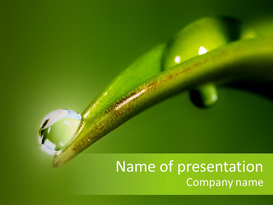 Bud Ecosystem Sprout PowerPoint Template