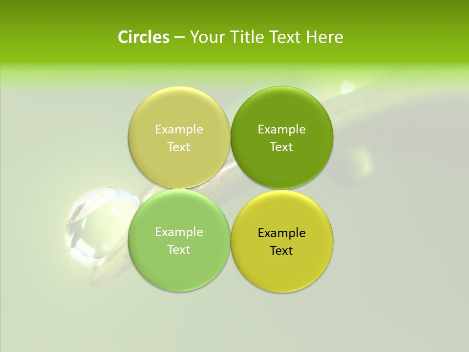 Bud Ecosystem Sprout PowerPoint Template