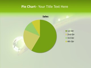 Bud Ecosystem Sprout PowerPoint Template