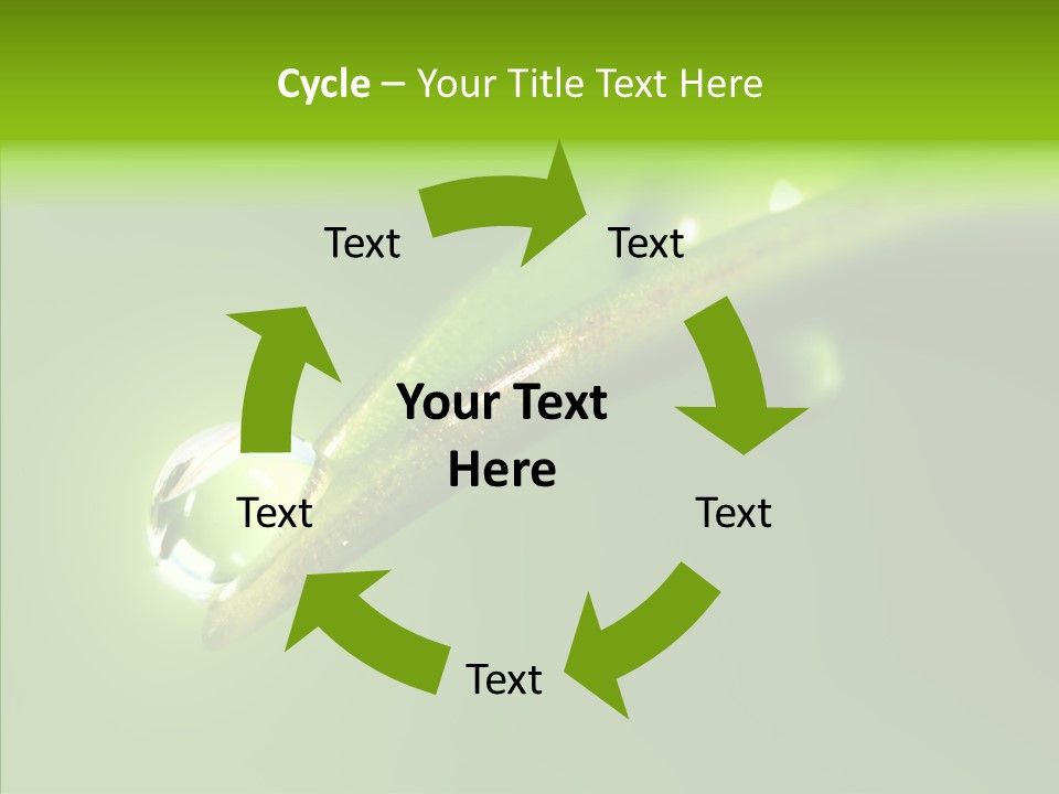 Bud Ecosystem Sprout PowerPoint Template