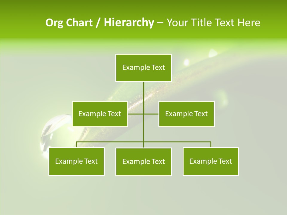 Bud Ecosystem Sprout PowerPoint Template