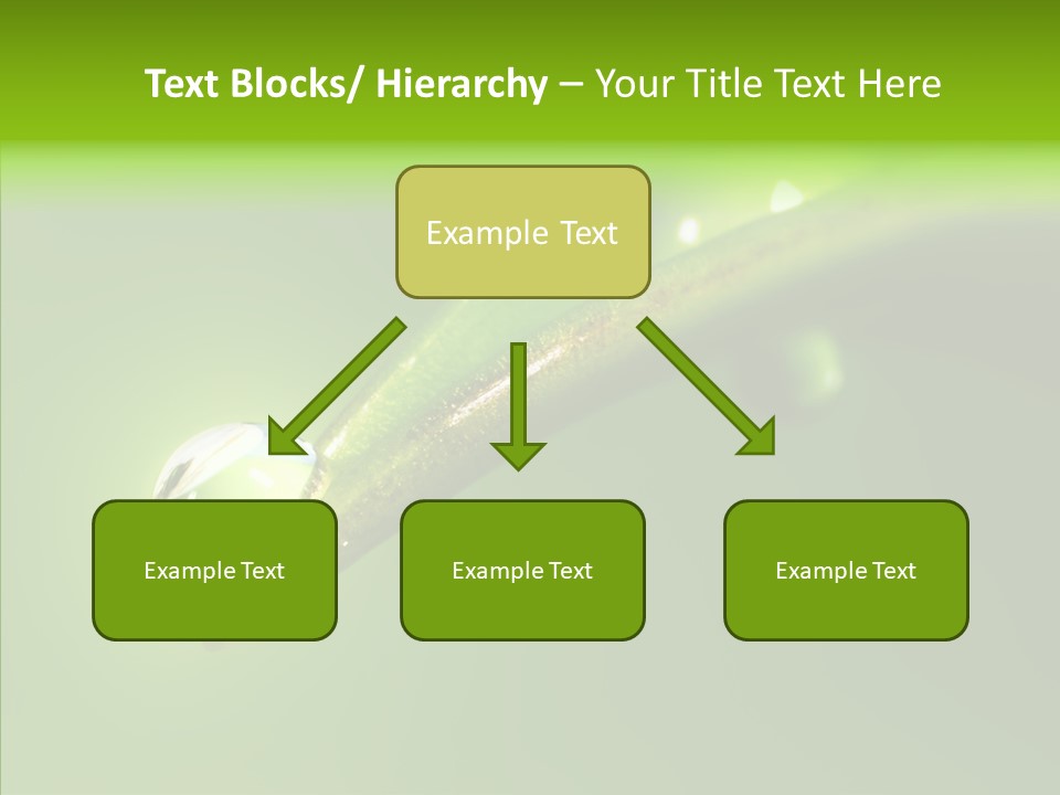 Bud Ecosystem Sprout PowerPoint Template