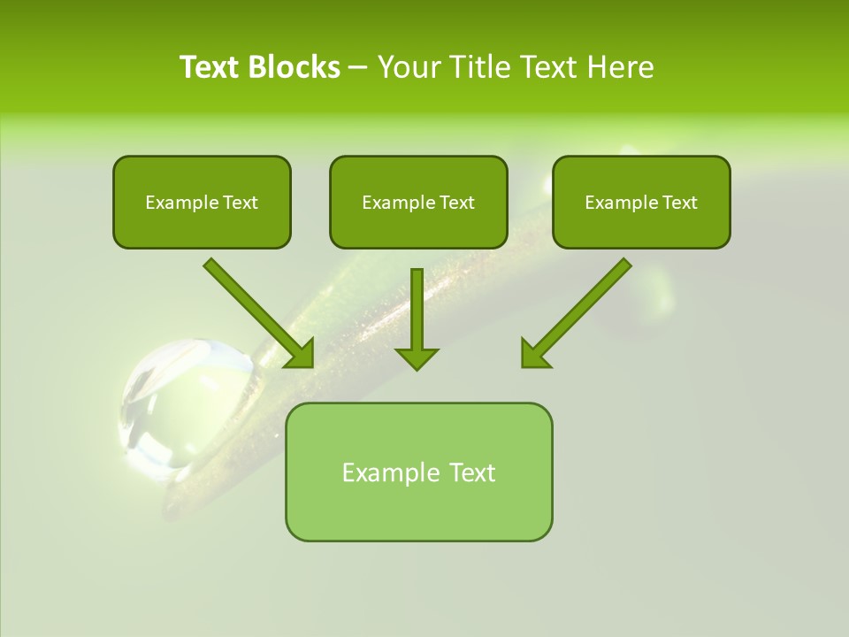 Bud Ecosystem Sprout PowerPoint Template