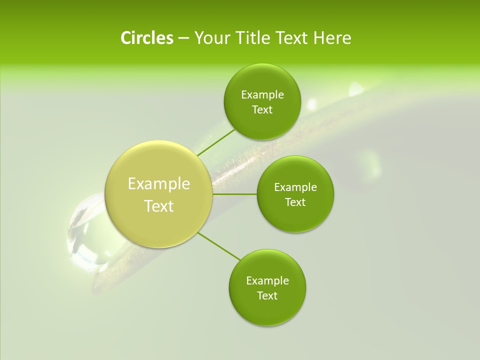 Bud Ecosystem Sprout PowerPoint Template