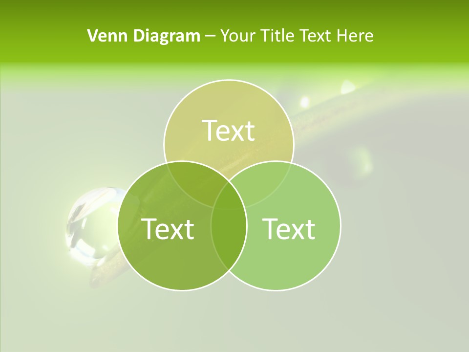 Bud Ecosystem Sprout PowerPoint Template