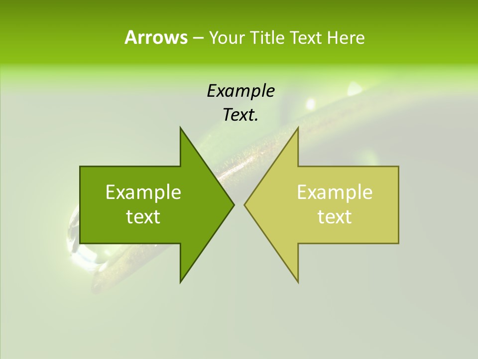 Bud Ecosystem Sprout PowerPoint Template