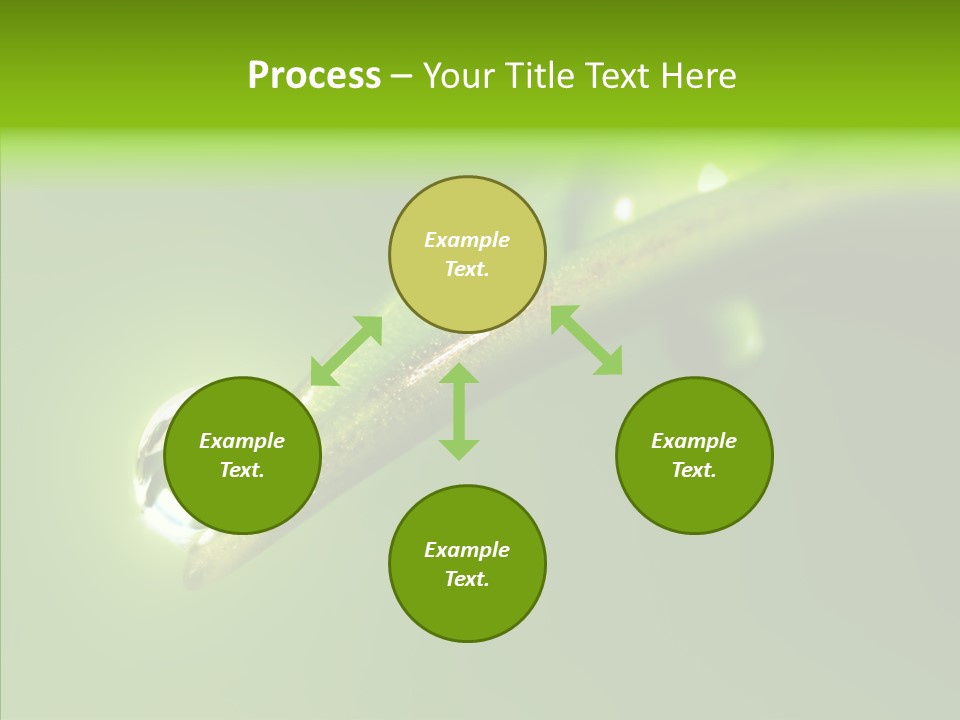 Bud Ecosystem Sprout PowerPoint Template