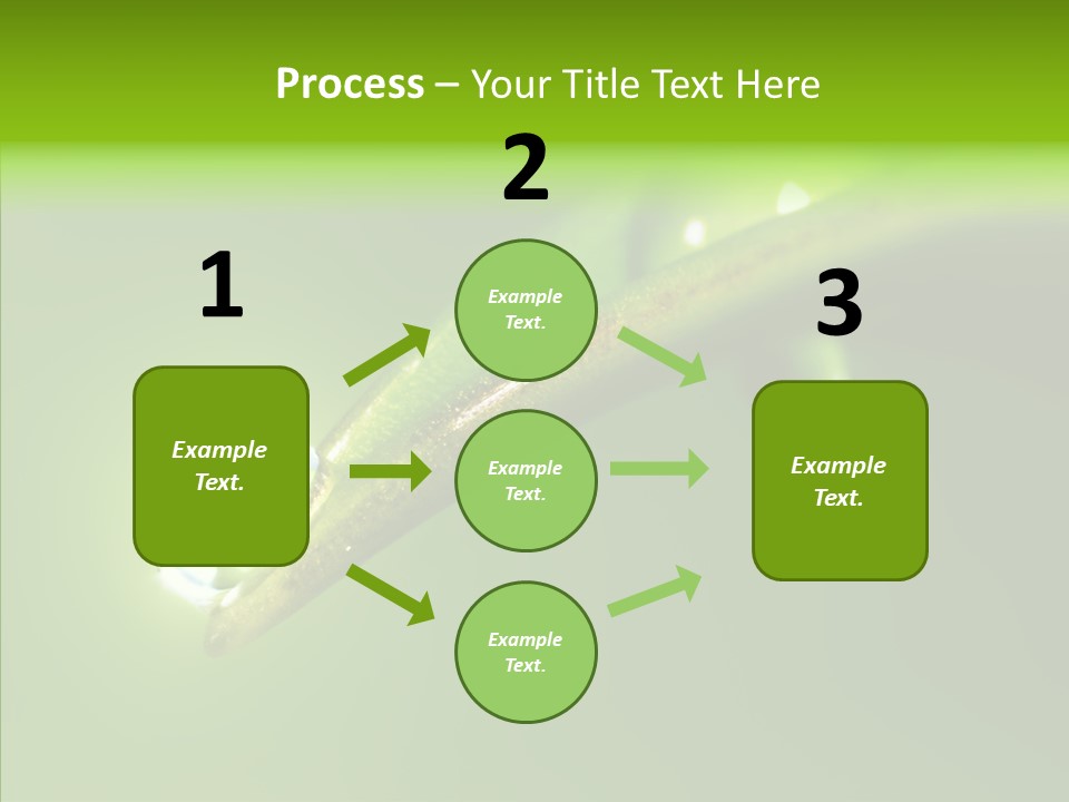 Bud Ecosystem Sprout PowerPoint Template