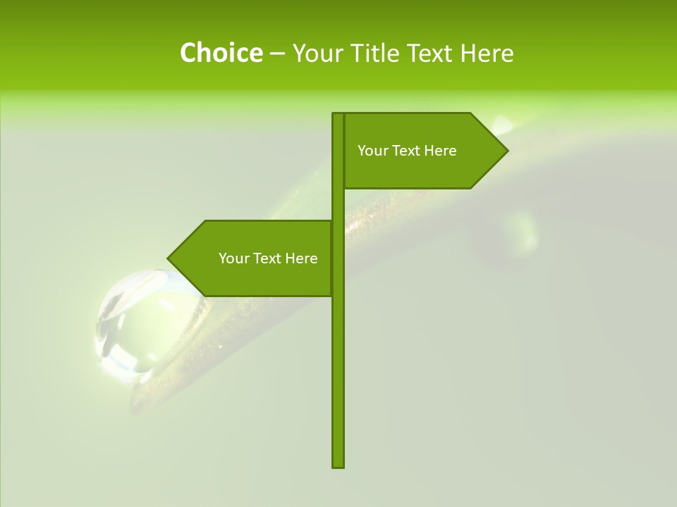 Bud Ecosystem Sprout PowerPoint Template