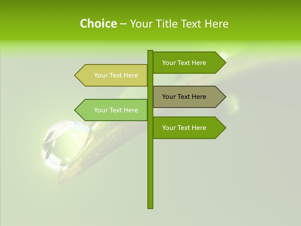Bud Ecosystem Sprout PowerPoint Template