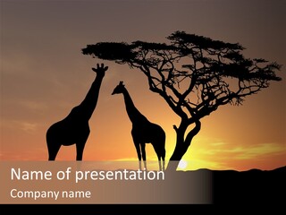 Environment Tourist Landmark PowerPoint Template