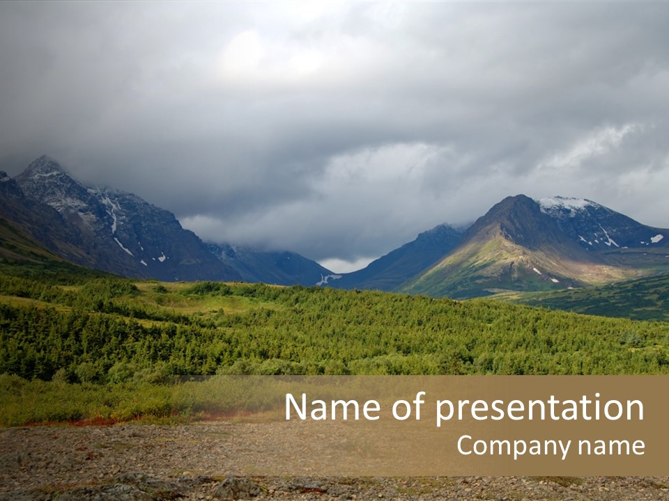 Wilderness Alaska Animals PowerPoint Template