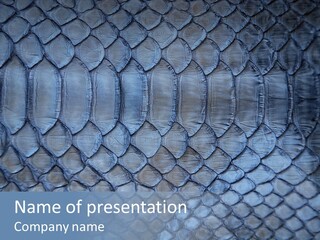 Shed Textured Rattlesnake PowerPoint Template