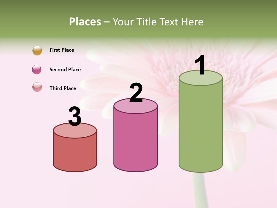 Flower Petals Isolated PowerPoint Template