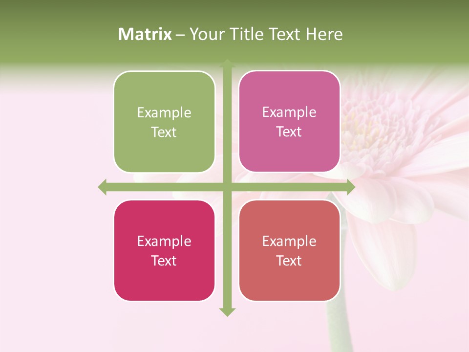 Flower Petals Isolated PowerPoint Template