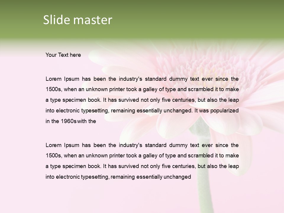 Flower Petals Isolated PowerPoint Template