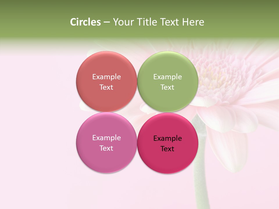 Flower Petals Isolated PowerPoint Template