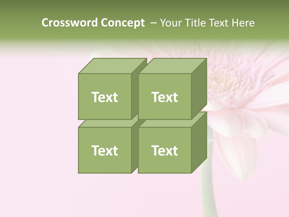 Flower Petals Isolated PowerPoint Template