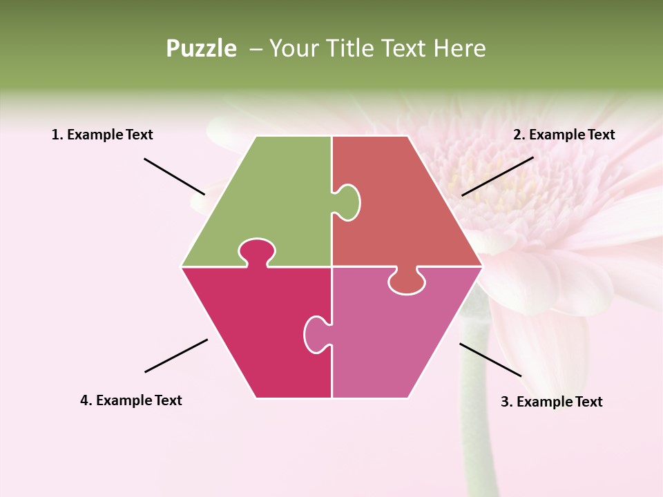 Flower Petals Isolated PowerPoint Template