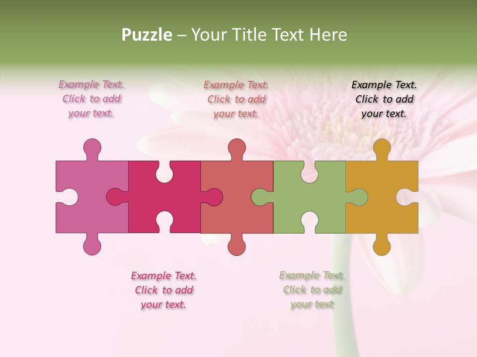 Flower Petals Isolated PowerPoint Template