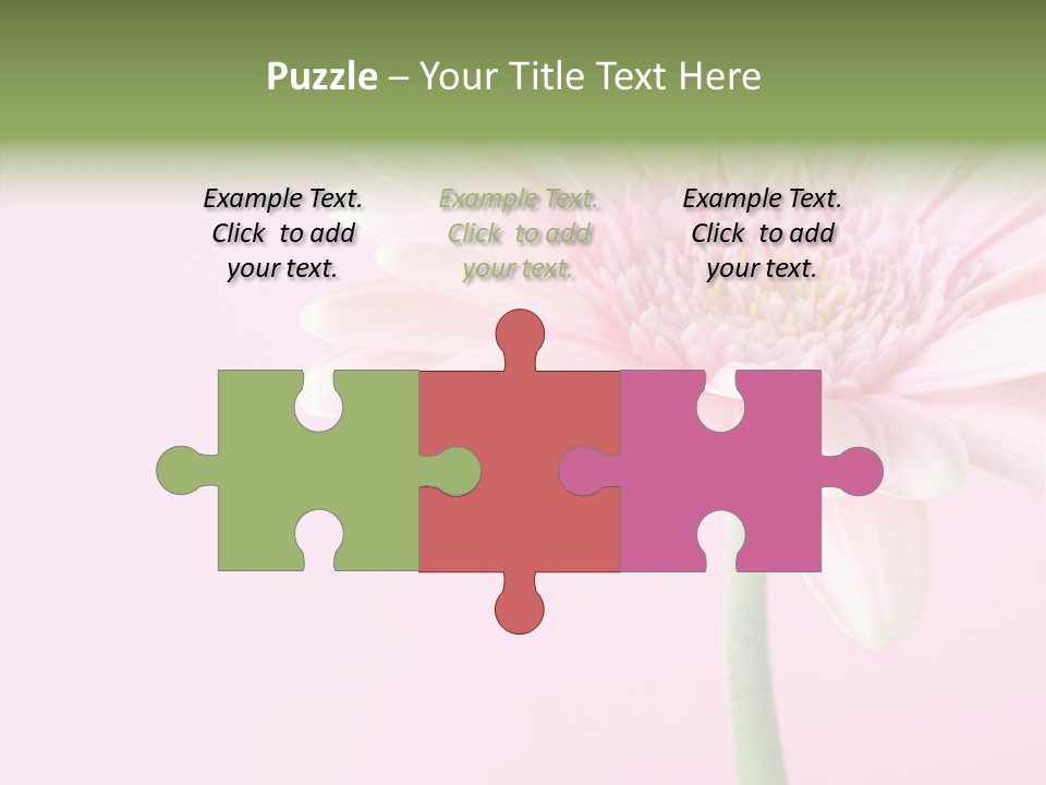 Flower Petals Isolated PowerPoint Template