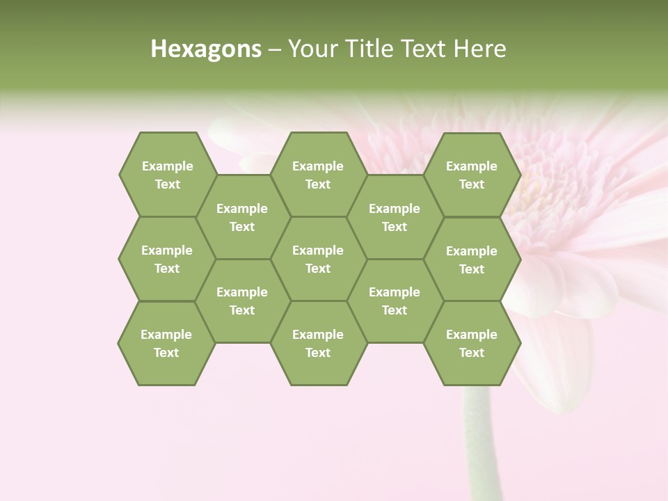 Flower Petals Isolated PowerPoint Template