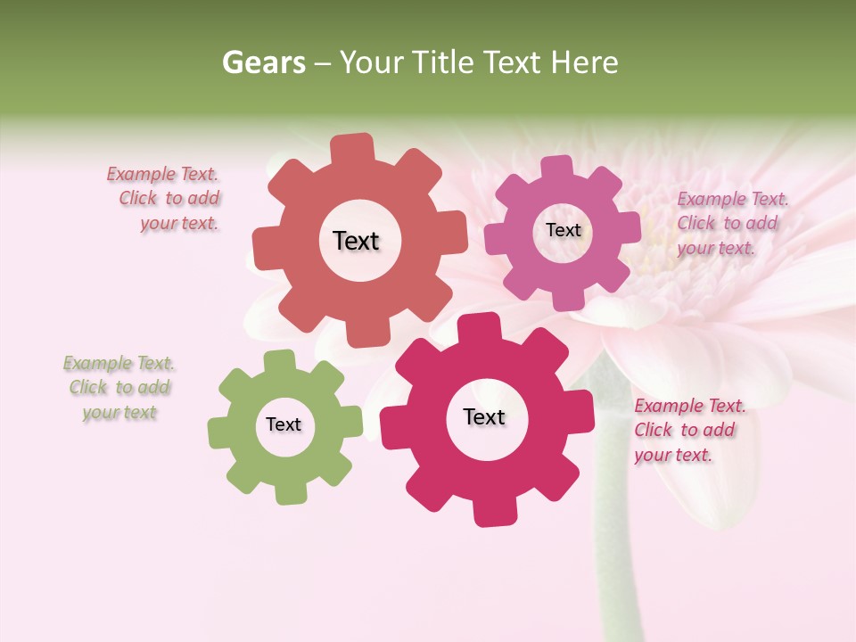 Flower Petals Isolated PowerPoint Template