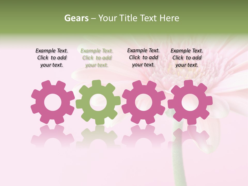 Flower Petals Isolated PowerPoint Template