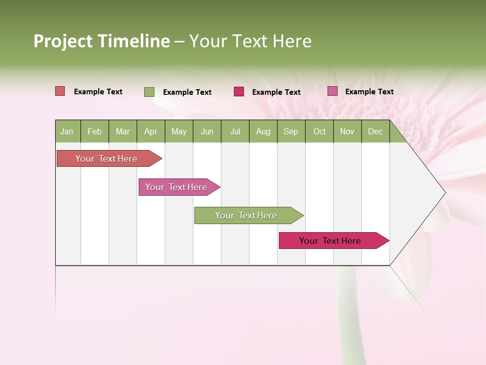 Flower Petals Isolated PowerPoint Template