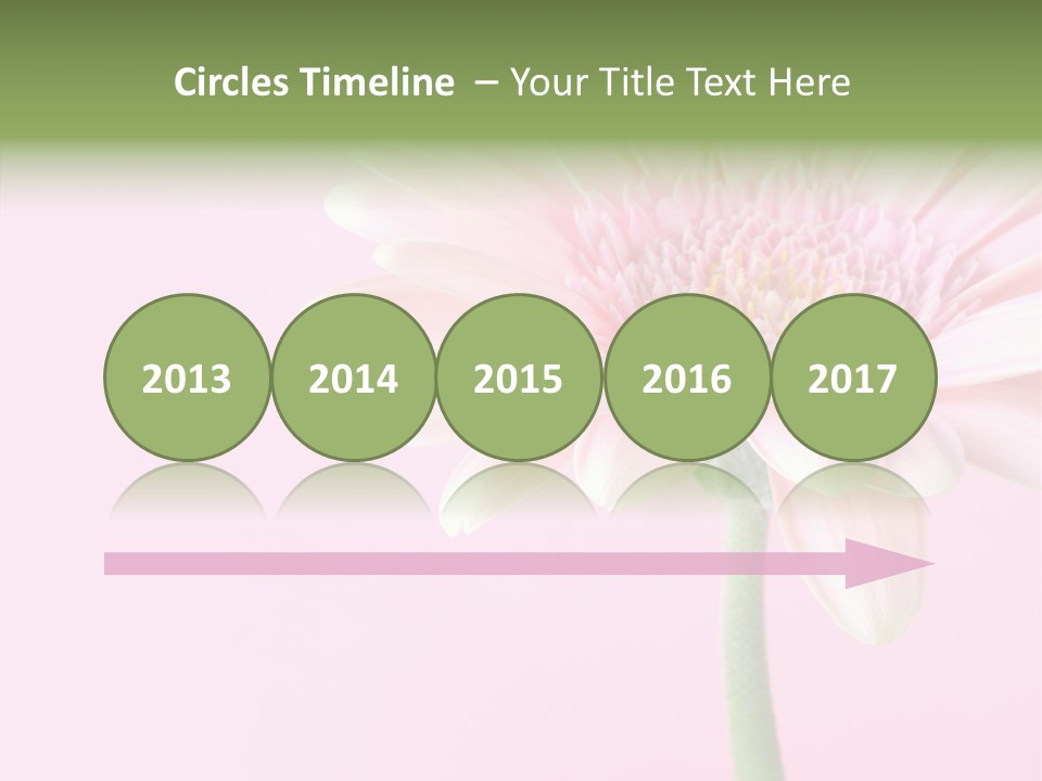 Flower Petals Isolated PowerPoint Template