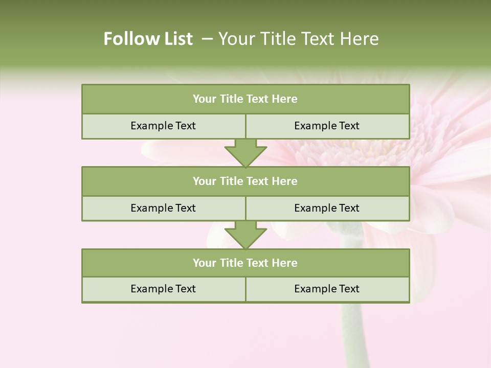 Flower Petals Isolated PowerPoint Template
