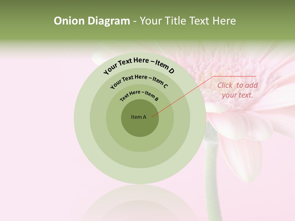 Flower Petals Isolated PowerPoint Template