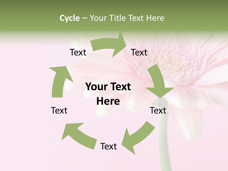 Flower Petals Isolated PowerPoint Template