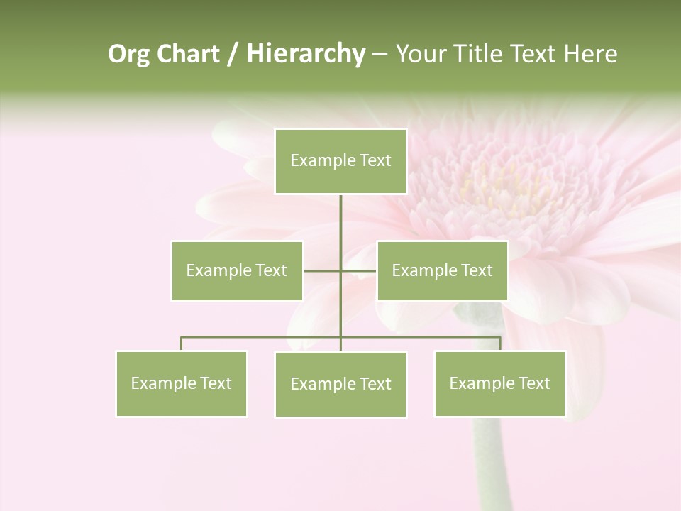 Flower Petals Isolated PowerPoint Template