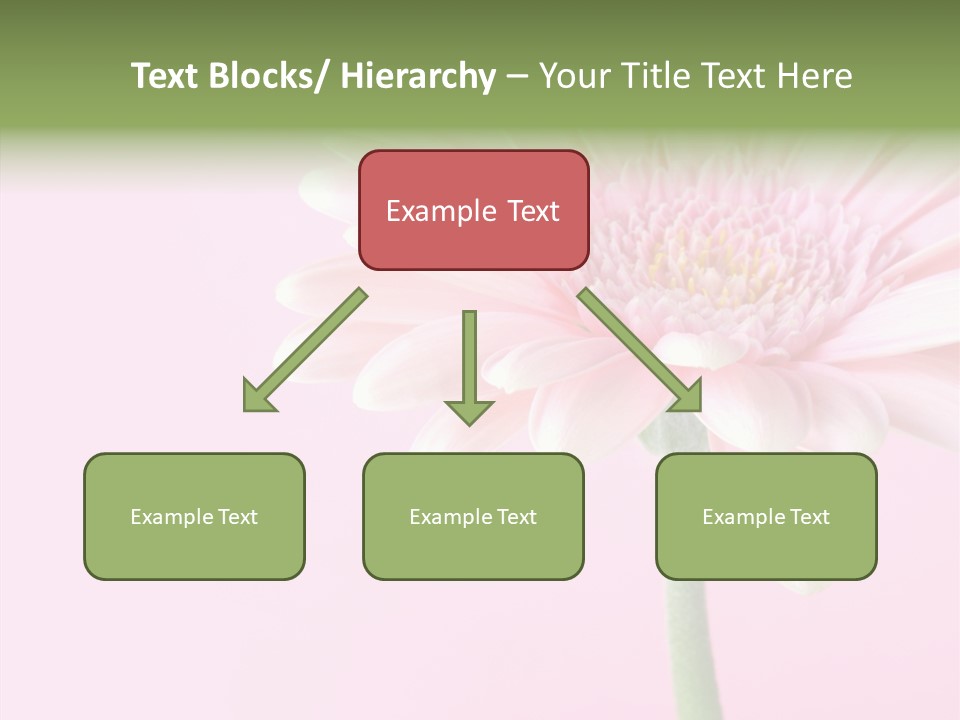 Flower Petals Isolated PowerPoint Template