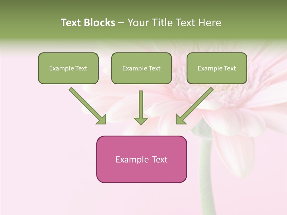 Flower Petals Isolated PowerPoint Template